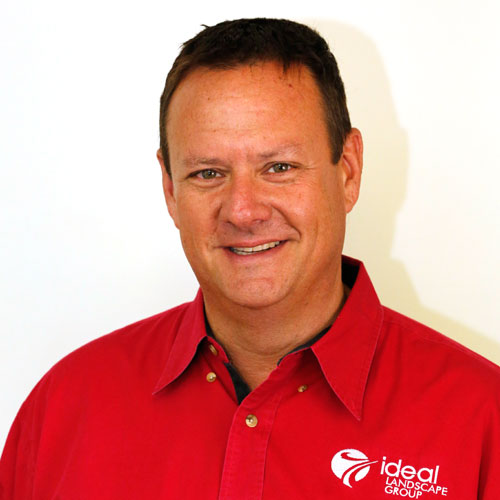 dave-buckel