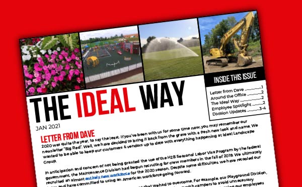 the-ideal-way-newsletter