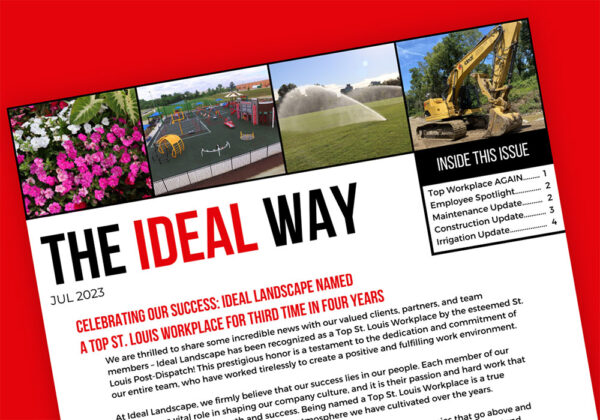 July 2023 The Ideal Way Newsletter